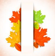 Abstract autumn background with white strip for text