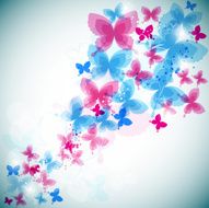 Colorful background with butterfly N5