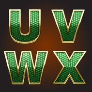 Vector golden figure with green N6
