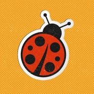 Ladybug N14