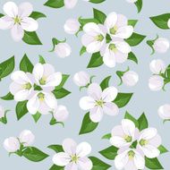 Seamless background with apple blossoms on blue Vector illustration