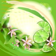 Background with lime slices