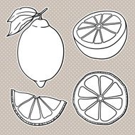 Isolated lemons Graphic stylized drawing N4