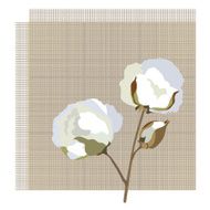 Cotton plant label
