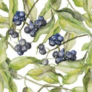 Watercolor hand drawn blue berries illustration Seamless pattern