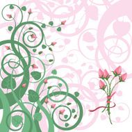 Roses N102