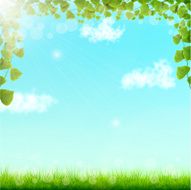 Green Leaves On Blue Sky Bacground