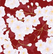 Sakura blossom N6