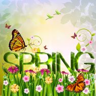 Beautiful Spring background N23