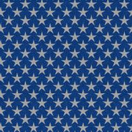 glitter with seamless silver star pattern