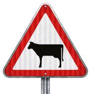 cattle crossing road sign