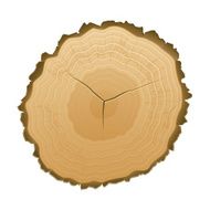 Tree Stump N5