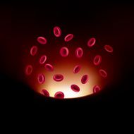 Blood Vessel - Illustration