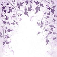floral grunge frame N7