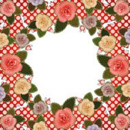 flamenco and roses frame