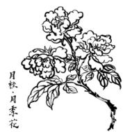 Osmanthus Flower
