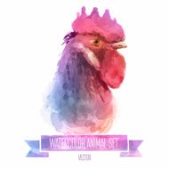 Vector set of watercolor illustrations Cute cock