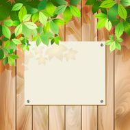 Green leaves on a wood texture Vector background N2