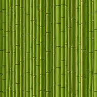 Seamless background of green wall bamboo