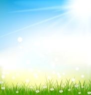 nature background with grass and light effects N2
