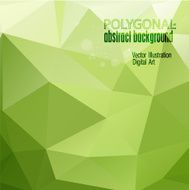 Abstract colorful Polygonal Background Vector illustration N13