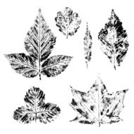 Watercolor set leaves print N2