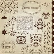 Vector vintage design elements N3