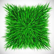 Background with square of grass