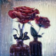 Reflected Rose