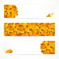 Three autumn banners with colorful leaves N2