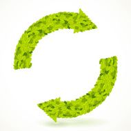 Recycle symbol with leaves texture Vector illustration N2
