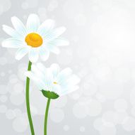 nature background N33