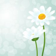 nature background N34