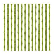 bamboo pattern N15