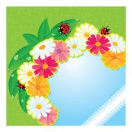 ladybirds and daisies - summer card N2