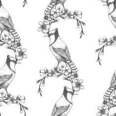 Vintage bird sketch background