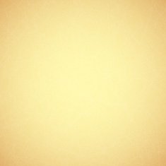 Vintage Paper Texture N10