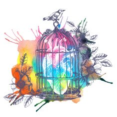 Human heart in a cage