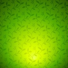 Vector Ornate Background N2