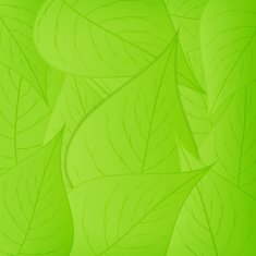 green leaves background N20