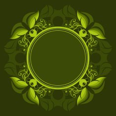 Flowers and framework N2