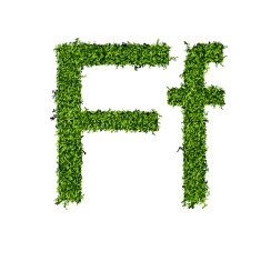 Isolated grass alphabet N22