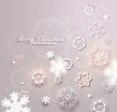 christmas card N321