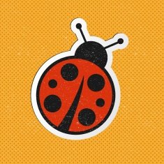 Ladybug N14
