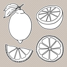 Isolated lemons Graphic stylized drawing N4