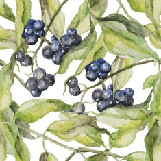 Watercolor hand drawn blue berries illustration Seamless pattern