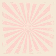 Vintage rising sun or ray sun burst retro background N5