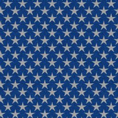 glitter with seamless silver star pattern