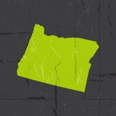Detailed map of oregon state grunge style N2