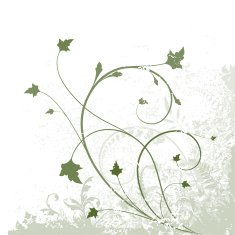 Spring corner N2
